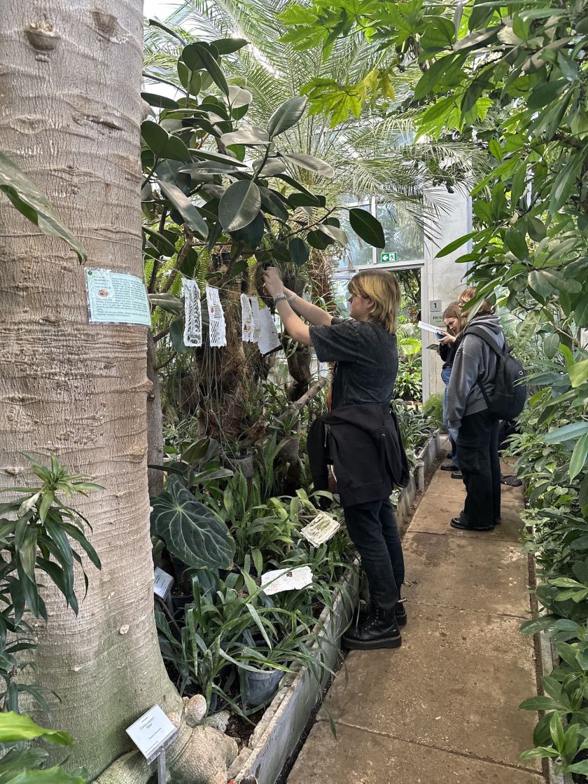 
VDU Botanikos sodo oranžerija tapo meninių eksperimentų erdve                