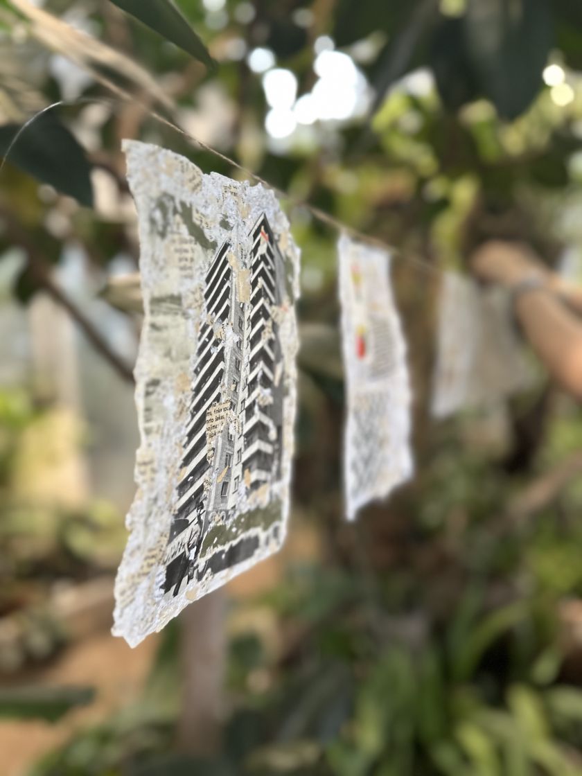 
VDU Botanikos sodo oranžerija tapo meninių eksperimentų erdve                