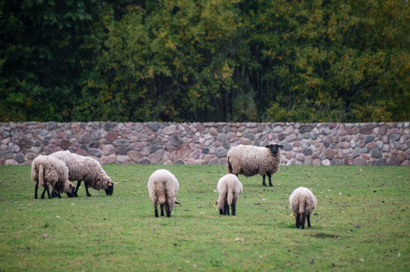 
Geriausia vieta švęsti išleistuves visoms amžiaus grupėms: nuo darželinukų iki abiturientų                