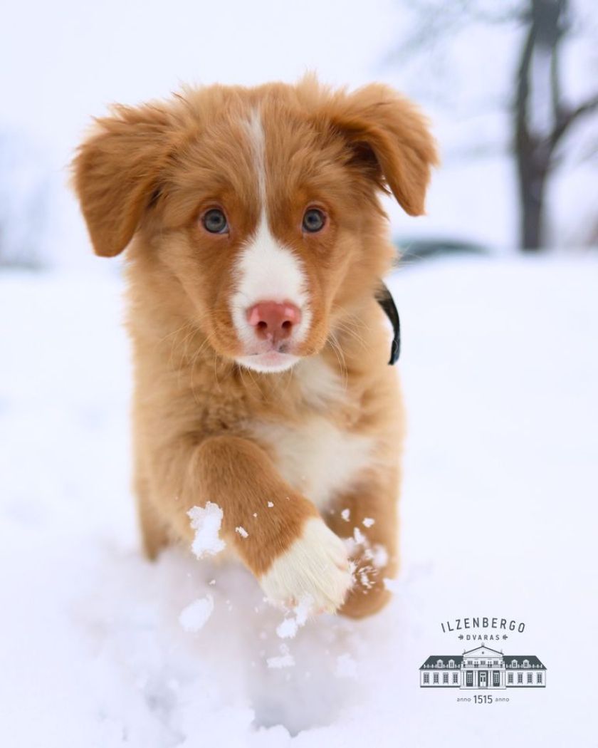 
Geriausia vieta švęsti išleistuves visoms amžiaus grupėms: nuo darželinukų iki abiturientų                
