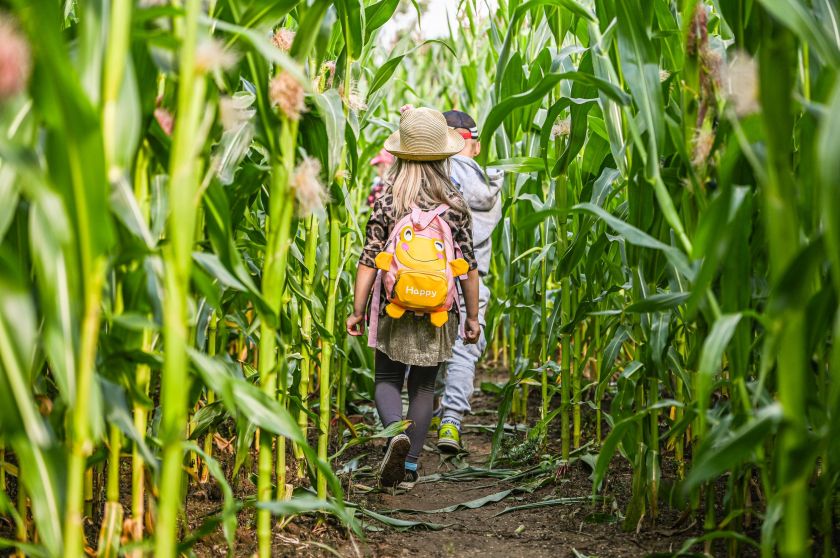 
Geriausia vieta švęsti išleistuves visoms amžiaus grupėms: nuo darželinukų iki abiturientų                