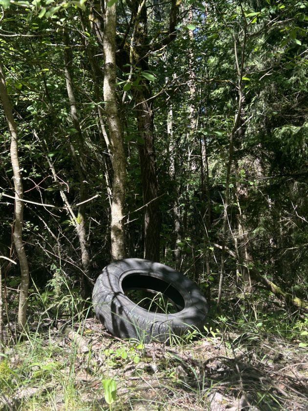 
Per dieną surinko 6 tonas į aplinką išmestų padangų                