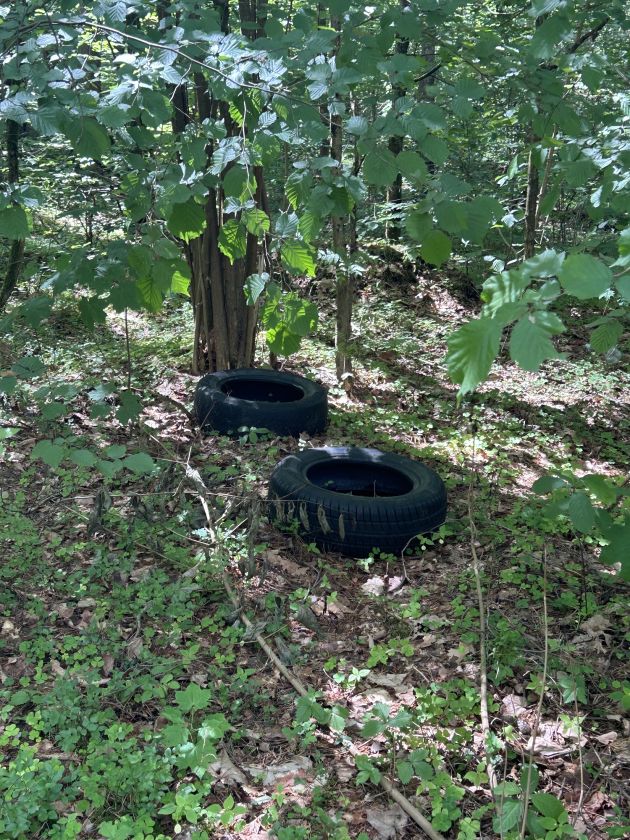 
Per dieną surinko 6 tonas į aplinką išmestų padangų                