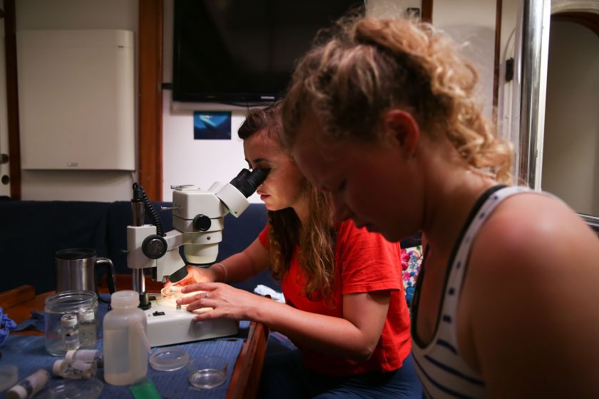 
Pasaulinę vandenynų dieną – žvilgsnis į novatorišką moterų ekspediciją po Ramiojo vandenyno šiukšlyną                