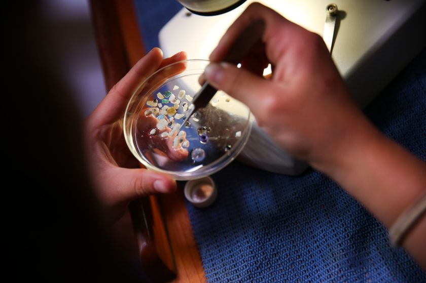 
Pasaulinę vandenynų dieną – žvilgsnis į novatorišką moterų ekspediciją po Ramiojo vandenyno šiukšlyną                