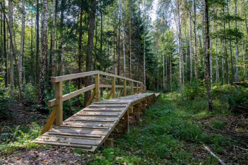 
Suvalkijos miškų lobiai: kokius objektus verta aplankyti ir pamatyti?                
