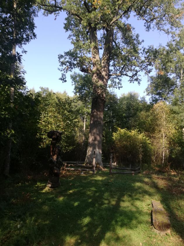 
Savaitgalis Dzūkijoje: ką aplankyti miškingiausiame šalies krašte?                