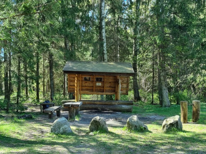 
Suvalkijos miškų lobiai: kokius objektus verta aplankyti ir pamatyti?                