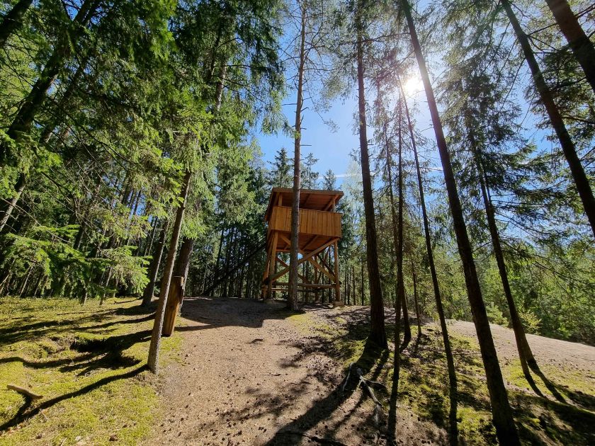 
Suvalkijos miškų lobiai: kokius objektus verta aplankyti ir pamatyti?                