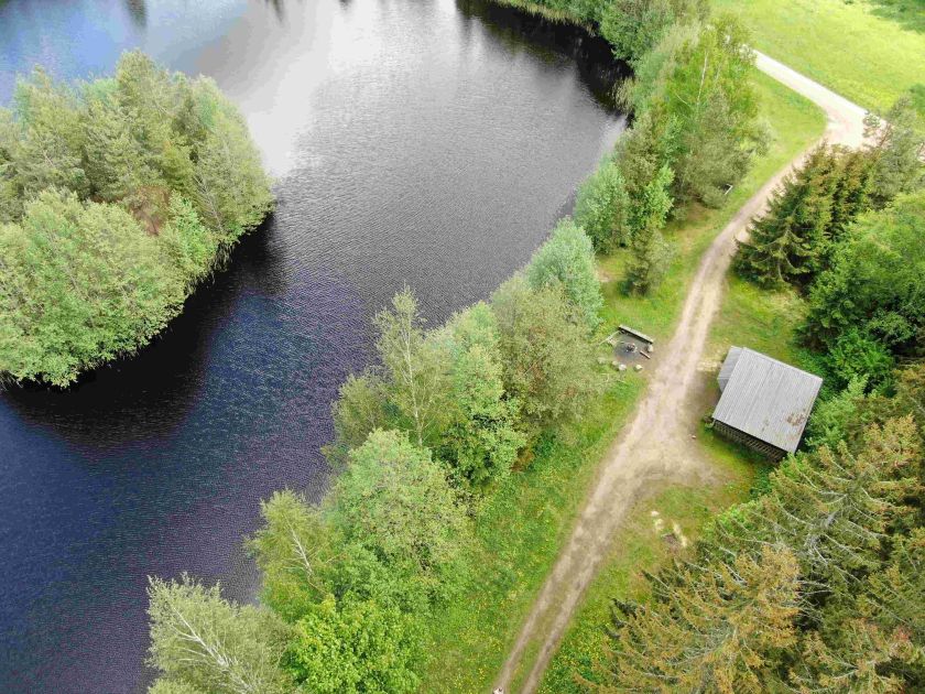 
Miškininkai rekomenduoja aplankyti Aukštaitiją: senųjų girių didybė ir išskirtiniai atradimai gamtoje                