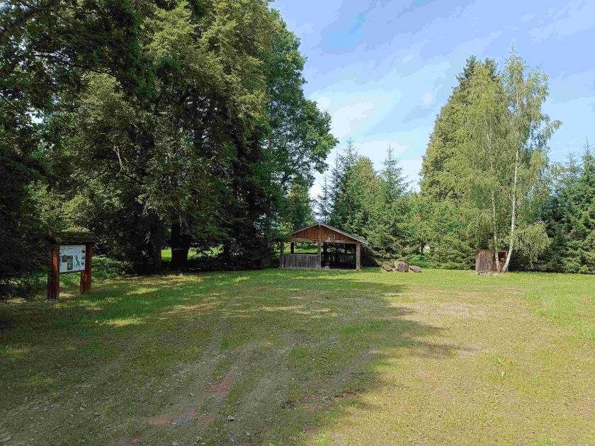 
Miškininkai rekomenduoja aplankyti Aukštaitiją: senųjų girių didybė ir išskirtiniai atradimai gamtoje                