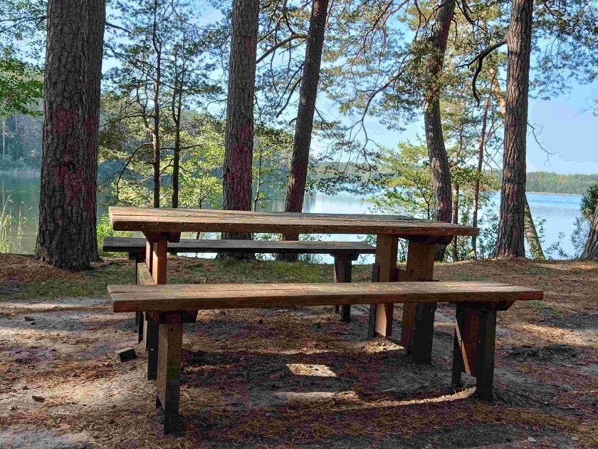 
Miškininkai rekomenduoja aplankyti Aukštaitiją: senųjų girių didybė ir išskirtiniai atradimai gamtoje                