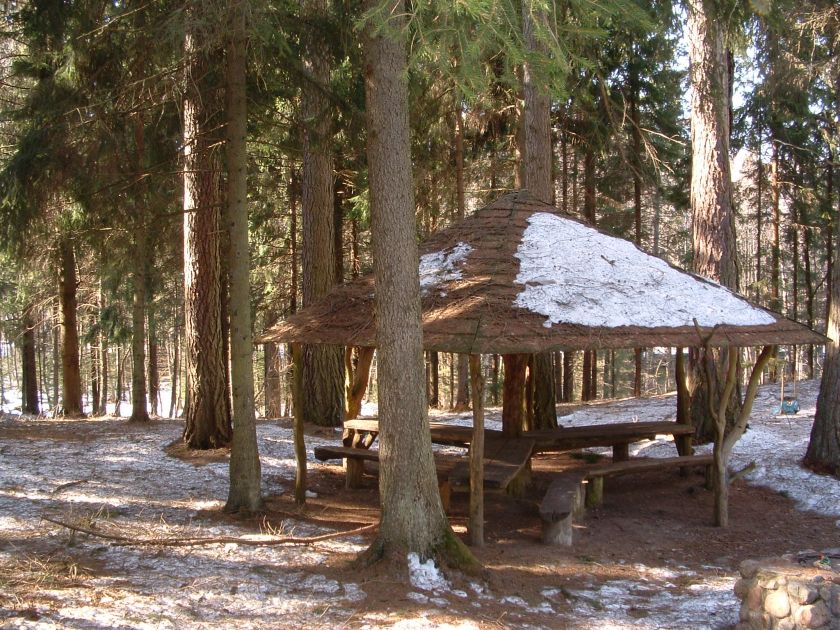 
Suvalkijos miškų lobiai: kokius objektus verta aplankyti ir pamatyti?                