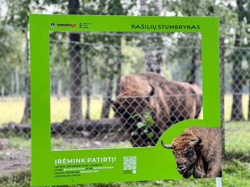 
„Įrėmink patirtį“ – naujas žaidimas, kviečiantis keliauti po Panevėžio rajoną                