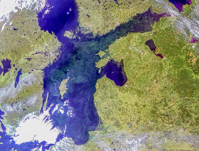 Mokslininkė: lemiamą vaidmenį Baltijos jūros išsaugojimui turi apsišvietusi visuomenė