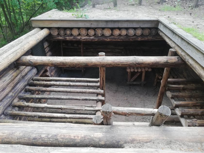 
Savaitgalis Dzūkijoje: ką aplankyti miškingiausiame šalies krašte?                