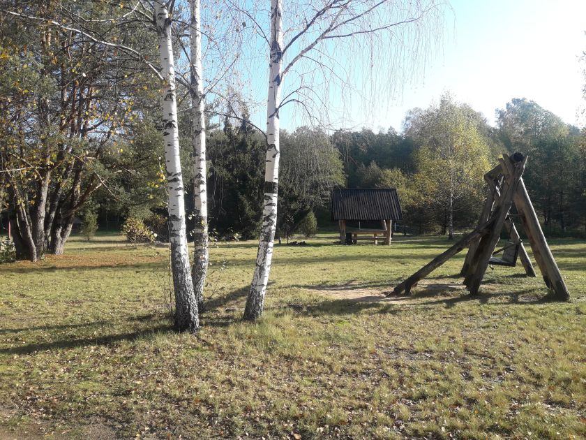 
Savaitgalis Dzūkijoje: ką aplankyti miškingiausiame šalies krašte?                