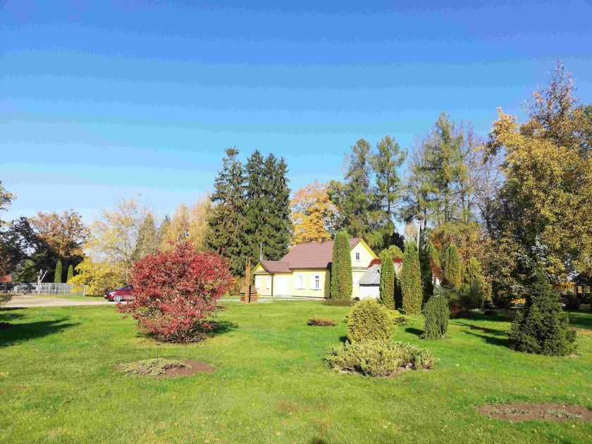 
Miškininkai rekomenduoja aplankyti Aukštaitiją: senųjų girių didybė ir išskirtiniai atradimai gamtoje                