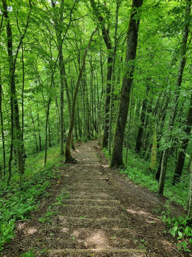
Savaitgalis Dzūkijoje: ką aplankyti miškingiausiame šalies krašte?                