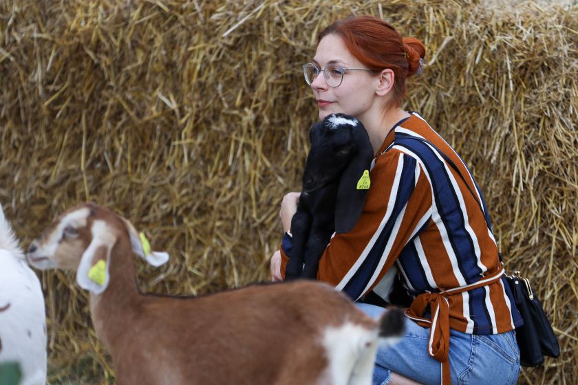 
Didžiausia Lietuvoje koncertinė erdvė iš šiaudų sugrįžta: ją pastebėjo ir užsienio žiniasklaida                