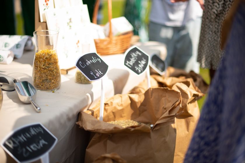 
VU botanikos sode – žolynų pažinimo kelionė: kas laukia „Žolinėk’ 24“ programoje?                