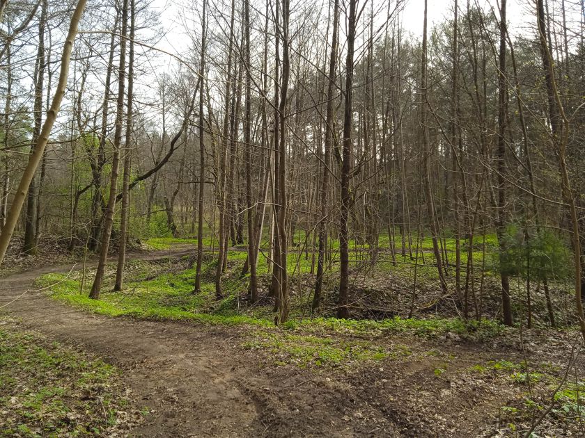 
ES MOKSLININKŲ INVENTORIZUOTOS BUVEINĖS LIETUVOJE VIRSTA PLYNĖMIS                