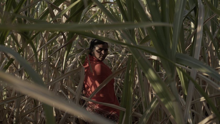 
MO muziejus ir festivalis „Nepatogus kinas“ pristato filmų peržiūras, pokalbius bei dirbtuves                