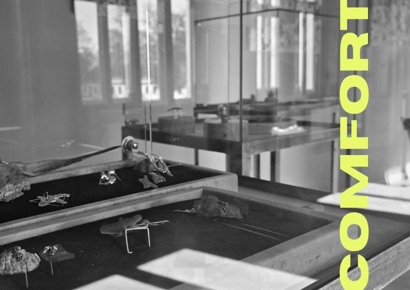 Gelgaudiškio dvare - pirmoji Ievos Žekevičiūtės juvelyrinių kūrinių ir objektų autorinė paroda COMFORT su lydinčiomis kūrybinėmis dirbtuvėmis