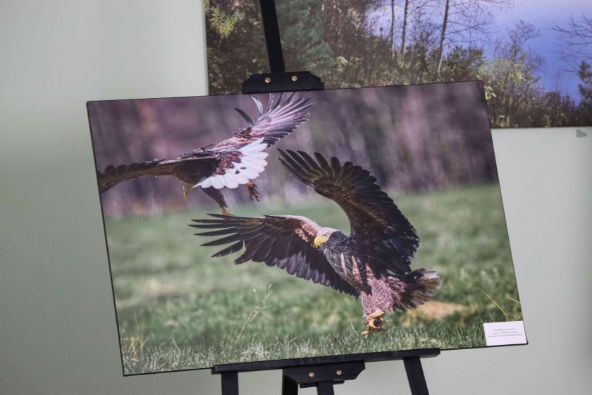 
„Augu kartu su mišku“: ugdomi fotografijos talentai                