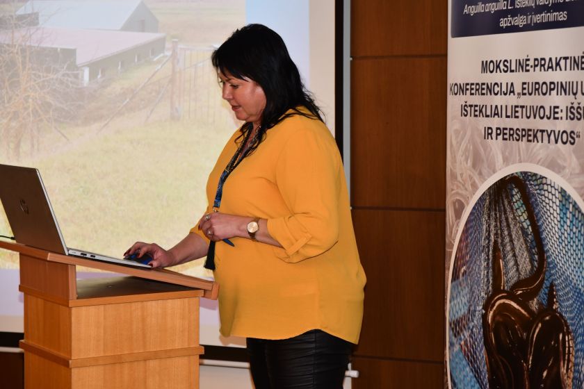 Europinių ungurių išteklių valdymo plano aptarimo renginyje aktyviai diskutuota ties išnykimo riba atsidūrusių žuvų išsaugojimo klausimais