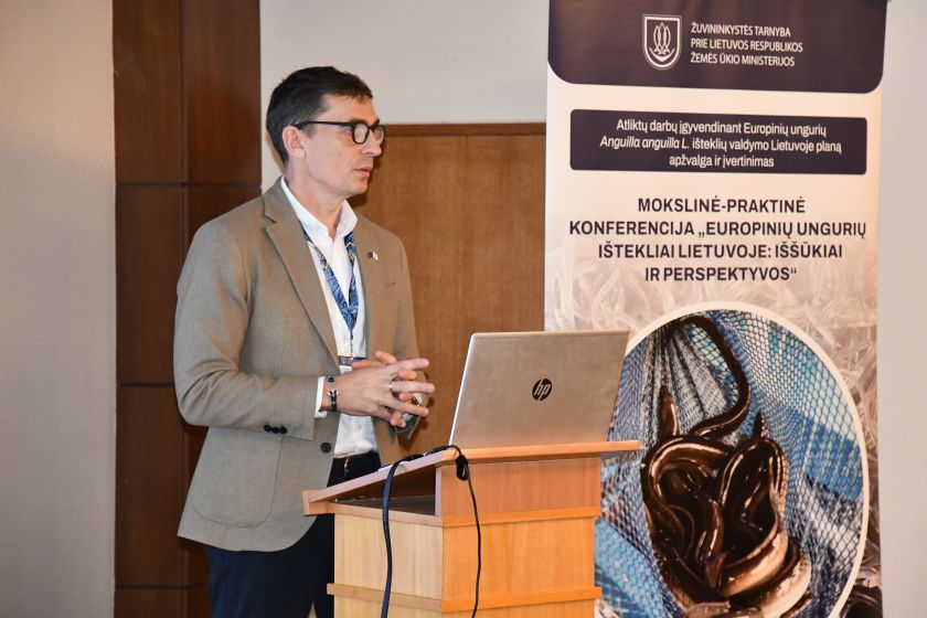 Europinių ungurių išteklių valdymo plano aptarimo renginyje aktyviai diskutuota ties išnykimo riba atsidūrusių žuvų išsaugojimo klausimais