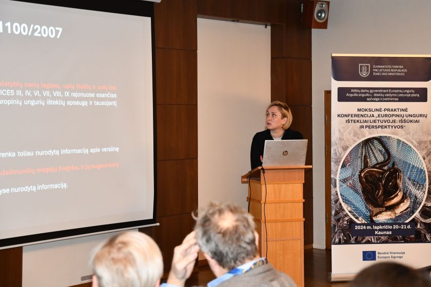 Europinių ungurių išteklių valdymo plano aptarimo renginyje aktyviai diskutuota ties išnykimo riba atsidūrusių žuvų išsaugojimo klausimais