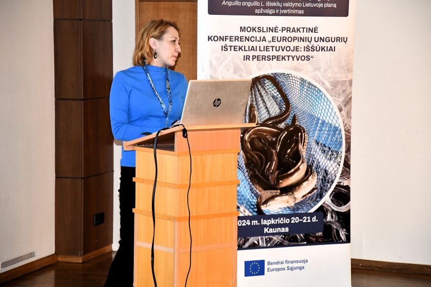 Europinių ungurių išteklių valdymo plano aptarimo renginyje aktyviai diskutuota ties išnykimo riba atsidūrusių žuvų išsaugojimo klausimais