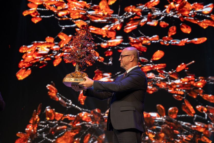 Druskininkai – naujoji Lietuvos kultūros sostinė: laukia įspūdingas startas ir renginių gausa