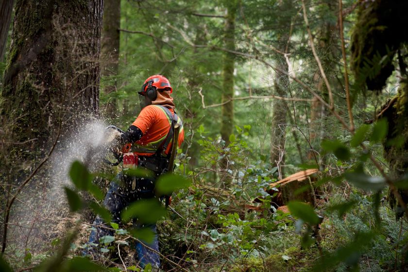 Adrenalino mėgėjams – pavojų kupina medkirčių kasdienybė naujoje „discovery+“ laidoje