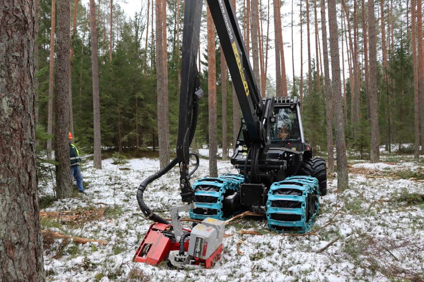 Praktinis susitikimas miške: miškininkai tęsia socialinio dialogo kūrimą su nevyriausybinėmis organizacijomis bei vietos bendruomenėmis