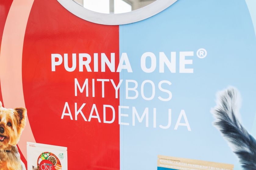 Norite, kad jūsų augintinis jaustųsi puikiai? Nedarykite šios klaidos