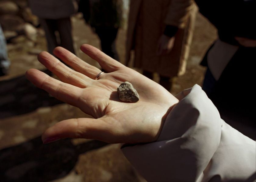 „Žemė Gyva“: Ar Lietuva išdrįs pripažinti gamtos teisę gyvuoti?