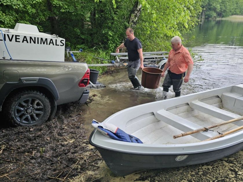 Skaisčio ežeras Trakų rajone praturtintas Vištyčio ežero sykų jaunikliais