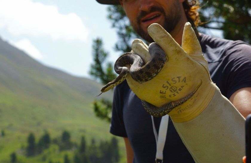 Tritonus Tarptautinėje gamtos tyrimų savaitėje tyrinėjusią moksleivę iš Vilkaviškio ypač sužavėjo žygiai Šveicarijos Alpėse
