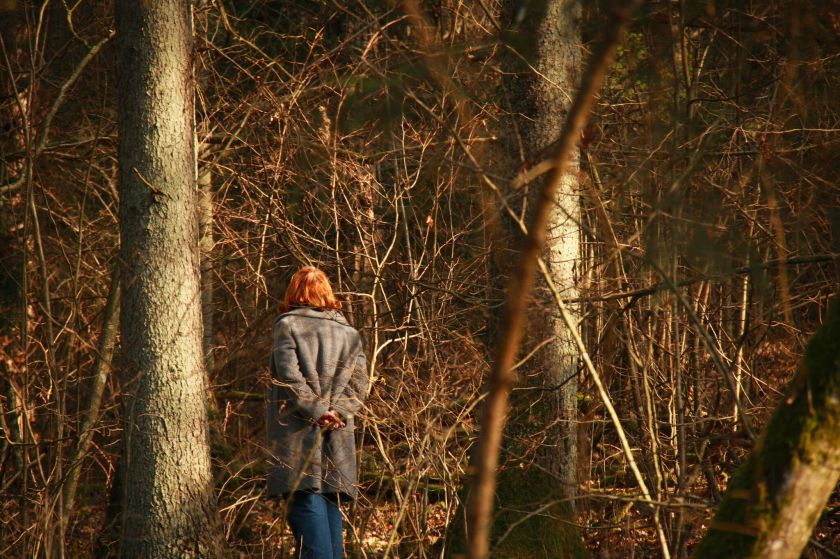 Valstybinių miškų urėdija pradeda taikyti miško terapiją – kelią į sveikatingumą ir harmoningą ryšį su gamta