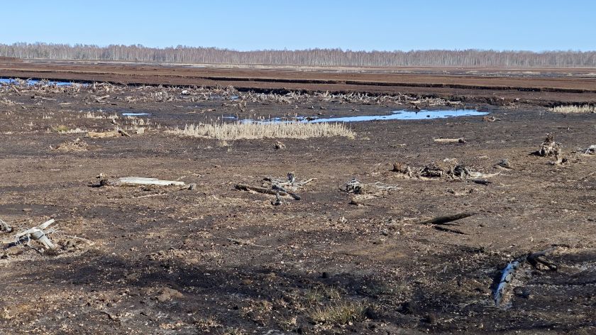 N. Zableckis: „Aplinkosauginė pozicija po diskusijų užbaigta ir įteikta politikams“