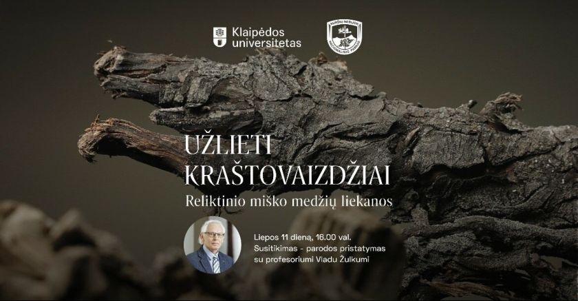 Reliktinio miško paslaptys: susitikimas su profesoriumi Vladu Žulkumi