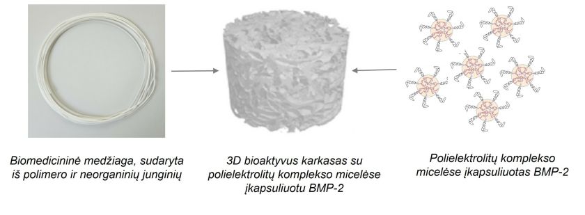 KTU docentė: 3D karkasai iš pažangių biomedicininių medžiagų – inovacija, pakeisianti donoro audinių transplantus
