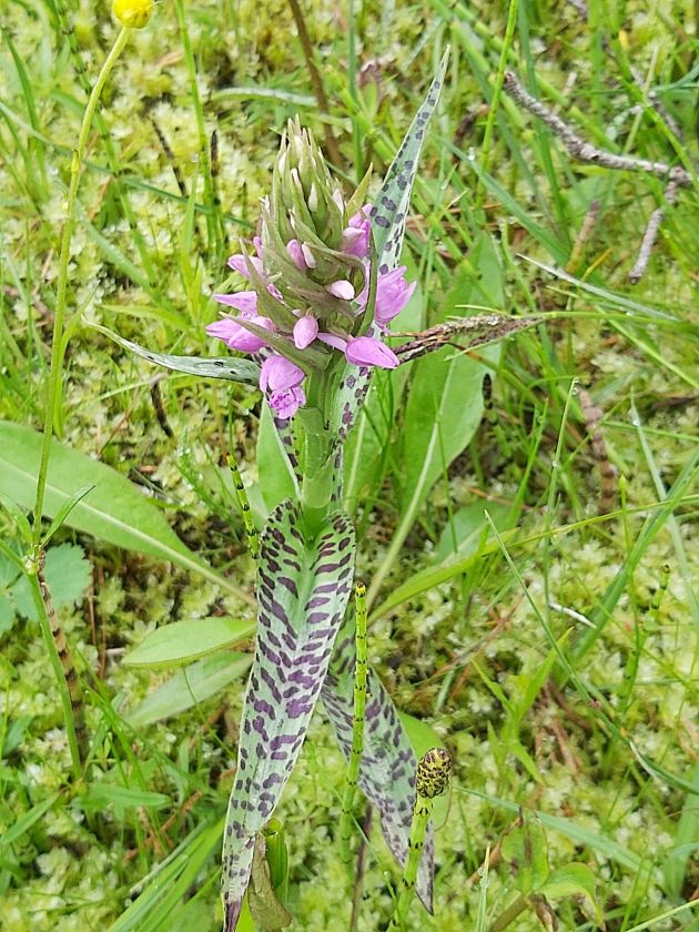 N. Zableckis: „Aplinkosauginė pozicija po diskusijų užbaigta ir įteikta politikams“