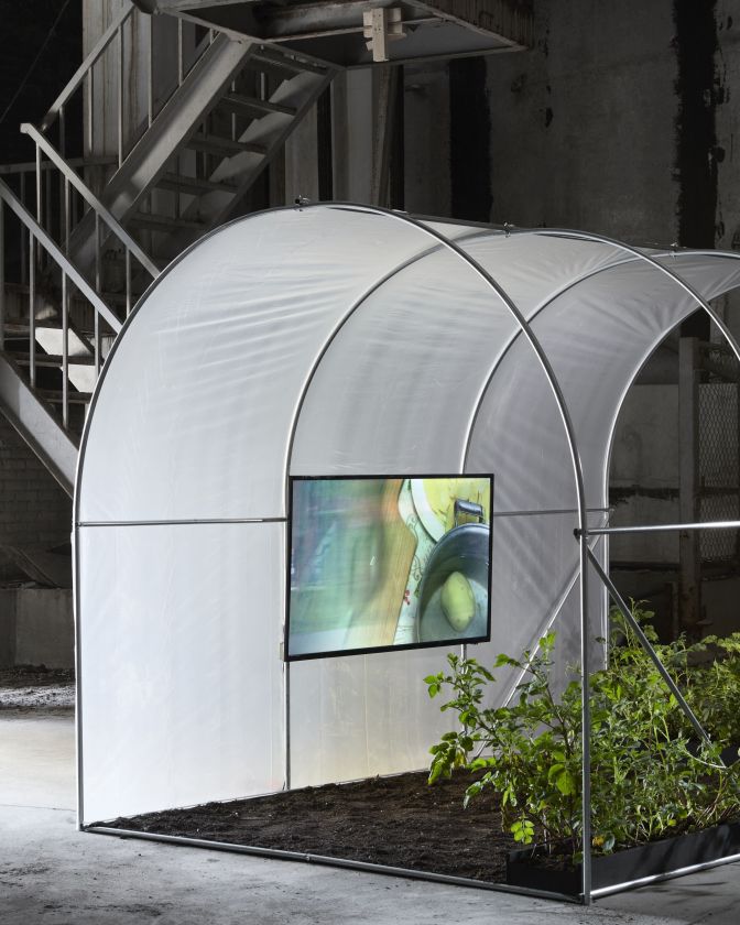 Nauji kūrybos vėjai Juodkrantėje: menininkų rezidencijos Pamario galerijoje