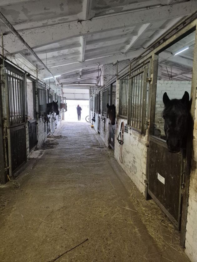 Investicijų galimybė Raseiniuose: hipodromo erdvės laukia naujos veiklos