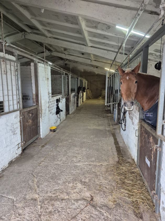 Investicijų galimybė Raseiniuose: hipodromo erdvės laukia naujos veiklos