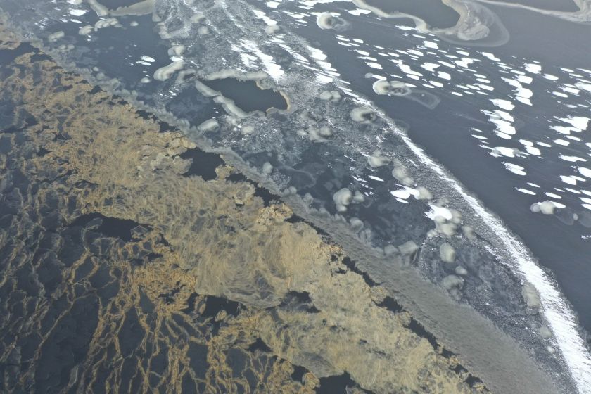 Nauji kūrybos vėjai Juodkrantėje: menininkų rezidencijos Pamario galerijoje