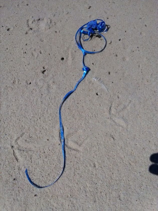 Helio balionai – nekalta pramoga ar rimta grėsmė?